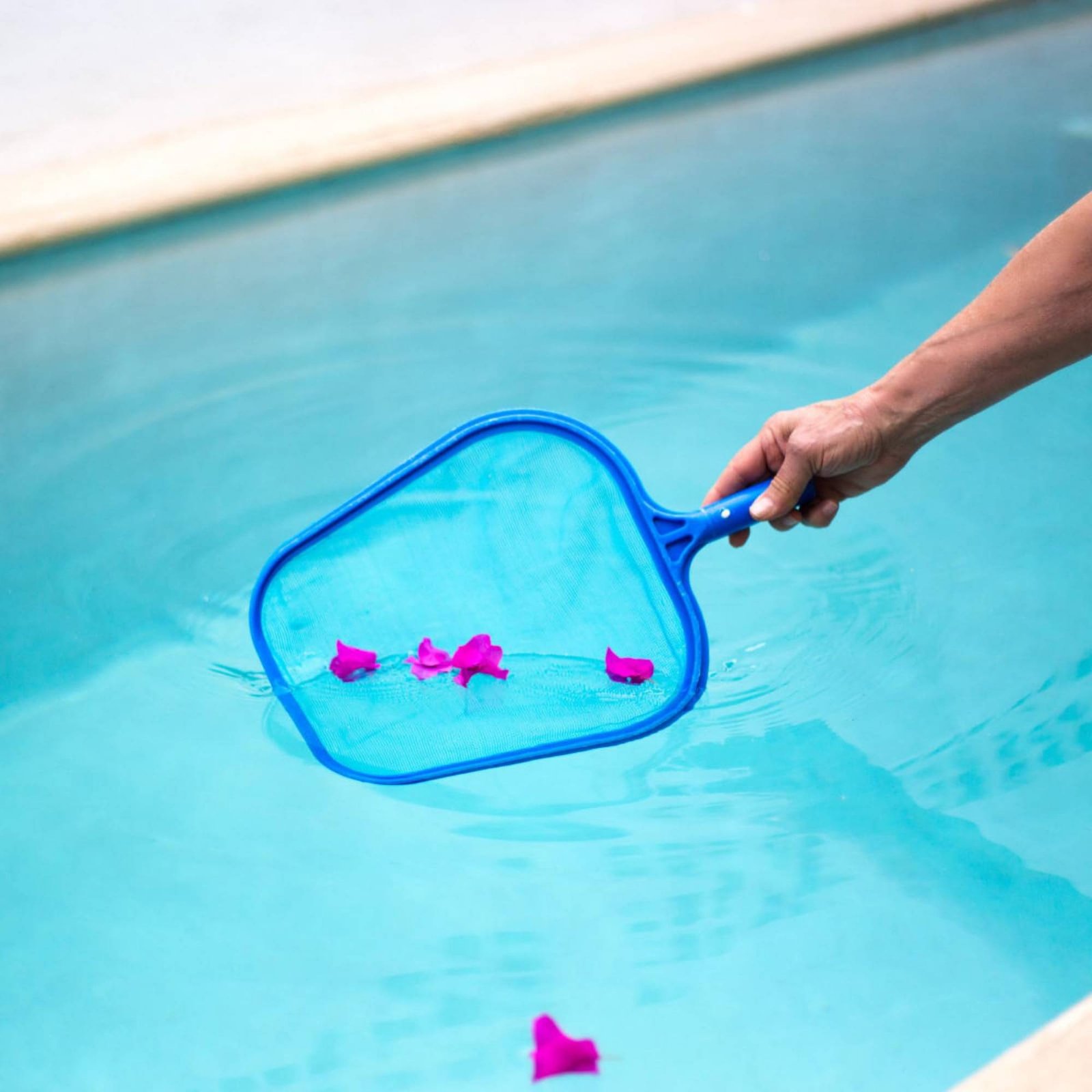 Detachable Pool Foliage Net Ea - Pool Skimmer Net recension och pris